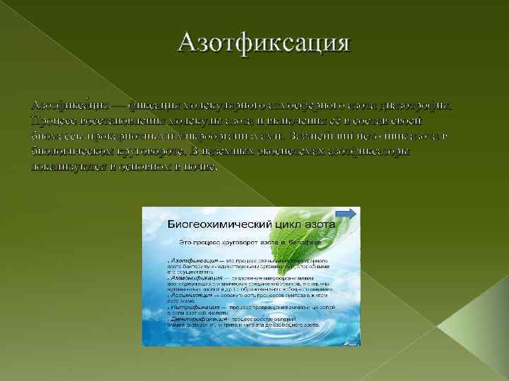 Азотфиксация. Азотфиксация процесс. Общее уравнение азотфиксации. Биологическая азотфиксация.