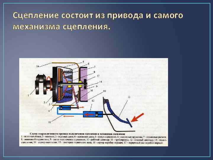 Сцепление состоит из привода и самого механизма сцепления. 