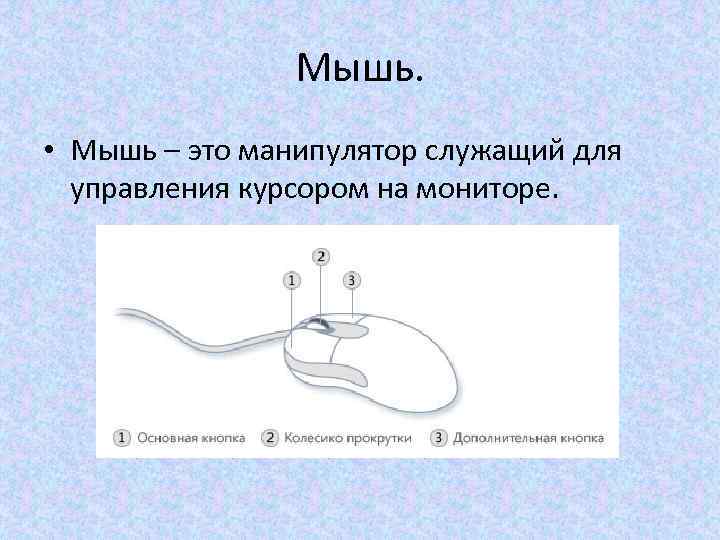 Мышь. • Мышь – это манипулятор служащий для управления курсором на мониторе. 