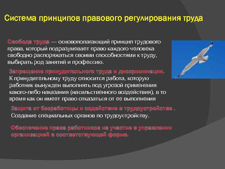 Система принципов правового регулирования труда Свобода труда — основополагающий принцип трудового права, который подразумевает