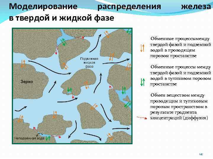 Моделирование распределения в твердой и жидкой фазе железа Обменные процессымежду твердой фазой и подземной