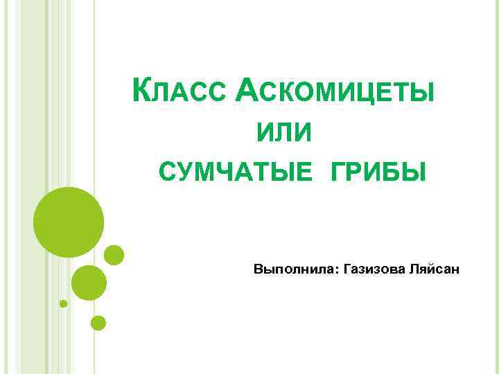 КЛАСС АСКОМИЦЕТЫ ИЛИ СУМЧАТЫЕ ГРИБЫ Выполнила: Газизова Ляйсан 