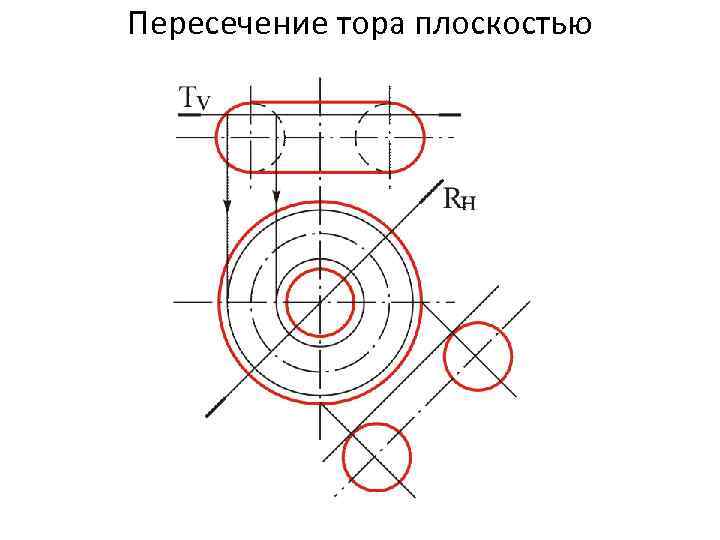 Пересечение тора плоскостью 