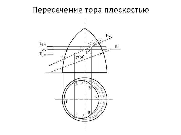 Пересечение тора плоскостью 