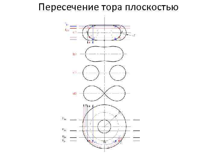 Пересечение тора плоскостью 