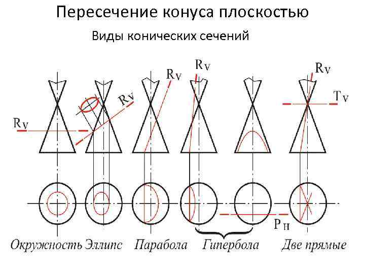 Пересечение конуса плоскостью Виды конических сечений 