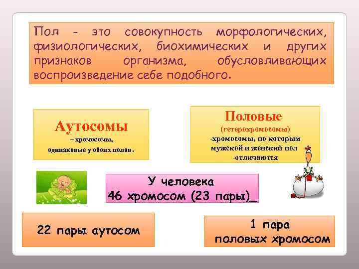 Пол - это совокупность морфологических, физиологических, биохимических и других признаков организма, обусловливающих воспроизведение себе