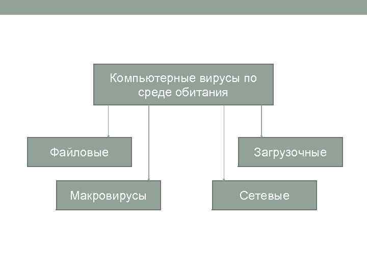 Компьютерные вирусы по среде обитания Файловые Макровирусы Загрузочные Сетевые 