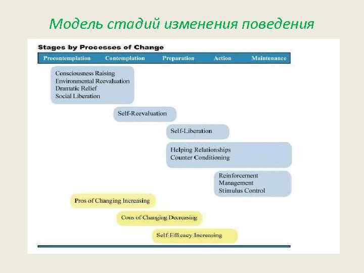 Модель стадий изменения поведения 