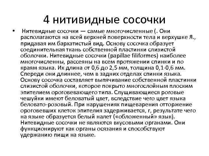 4 нитивидные сосочки • Нитевидные сосочки — самые многочисленные (. Они располагаются на всей