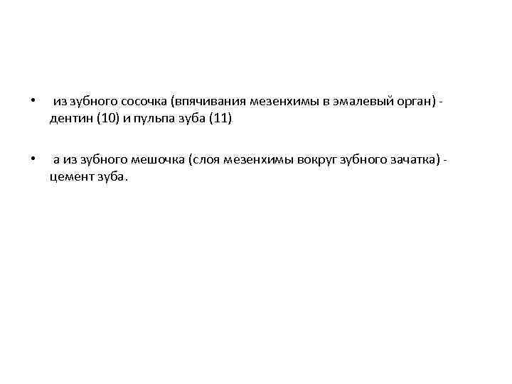  • из зубного сосочка (впячивания мезенхимы в эмалевый орган) дентин (10) и пульпа