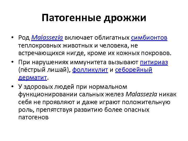 Патогенные дрожжи • Род Malassezia включает облигатных симбионтов теплокровных животных и человека, не встречающихся