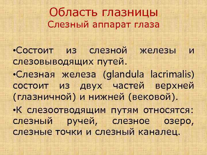 Область глазницы Слезный аппарат глаза • Состоит из слезной железы и слезовыводящих путей. •