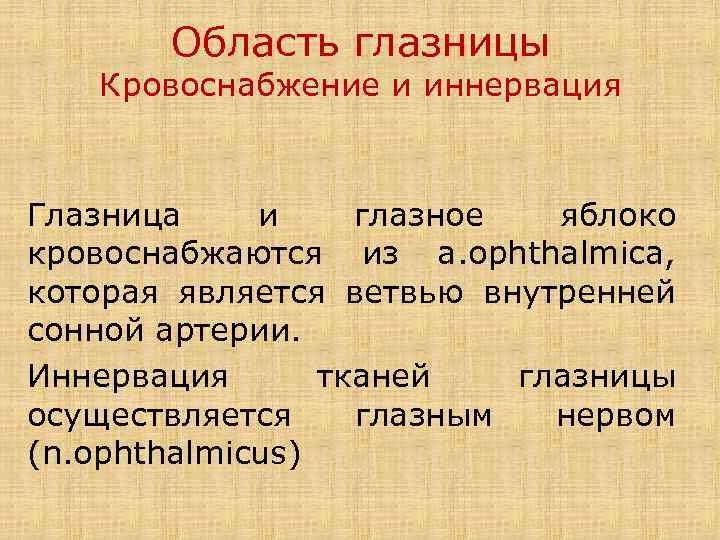 Область глазницы Кровоснабжение и иннервация Глазница и глазное яблоко кровоснабжаются из a. ophthalmica, которая