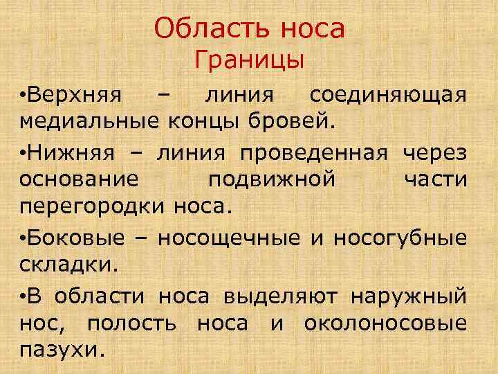 Область носа Границы • Верхняя – линия соединяющая медиальные концы бровей. • Нижняя –