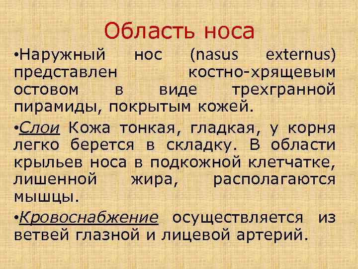 Область носа • Наружный нос (nasus externus) представлен костно-хрящевым остовом в виде трехгранной пирамиды,