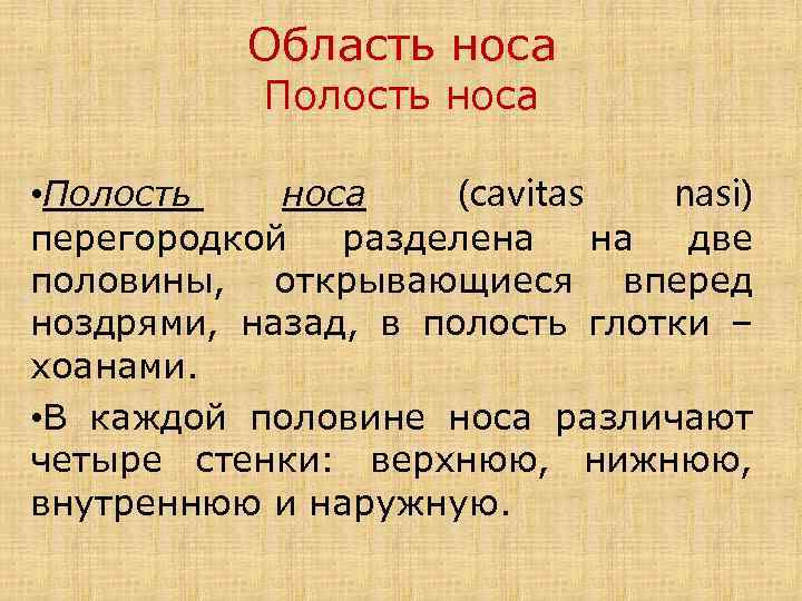 Область носа Полость носа • Полость носа (cavitas nasi) перегородкой разделена на две половины,