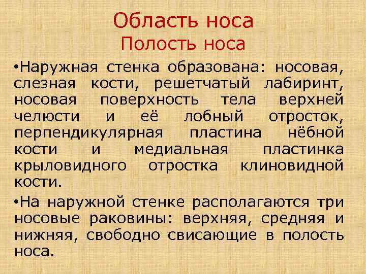 Область носа Полость носа • Наружная стенка образована: носовая, слезная кости, решетчатый лабиринт, носовая