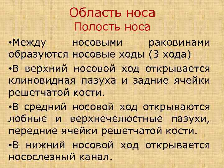 Область носа Полость носа • Между носовыми раковинами образуются носовые ходы (3 хода) •