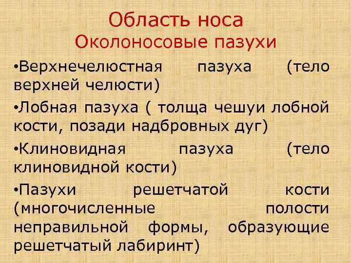 Область носа Околоносовые пазухи • Верхнечелюстная пазуха (тело верхней челюсти) • Лобная пазуха (