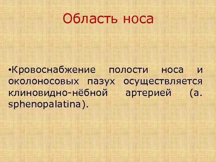 Область носа • Кровоснабжение полости носа и околоносовых пазух осуществляется клиновидно-нёбной артерией (a. sphenopalatina).