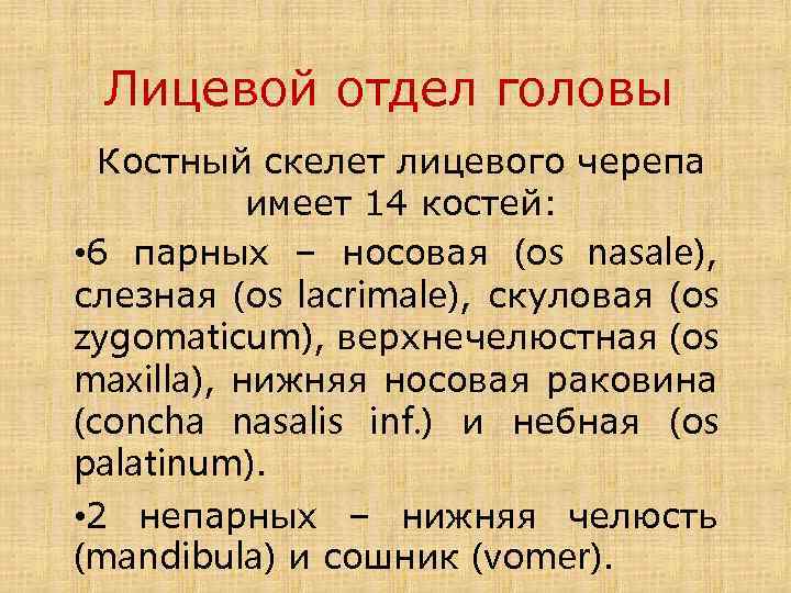 Лицевой отдел головы Костный скелет лицевого черепа имеет 14 костей: • 6 парных –