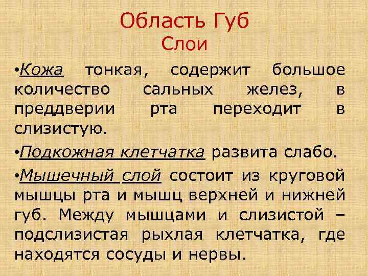 Область Губ Слои • Кожа тонкая, содержит большое количество сальных желез, в преддверии рта