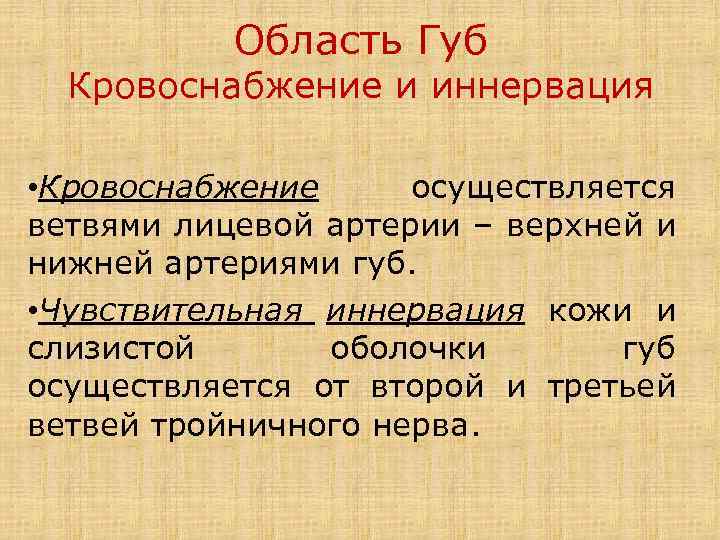 Область Губ Кровоснабжение и иннервация • Кровоснабжение осуществляется ветвями лицевой артерии – верхней и