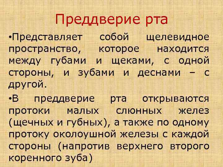 Преддверие рта • Представляет собой щелевидное пространство, которое находится между губами и щеками, с