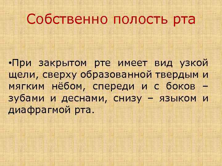 Собственно полость рта • При закрытом рте имеет вид узкой щели, сверху образованной твердым