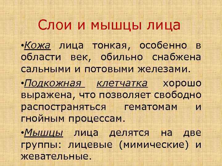 Слои и мышцы лица • Кожа лица тонкая, особенно в области век, обильно снабжена