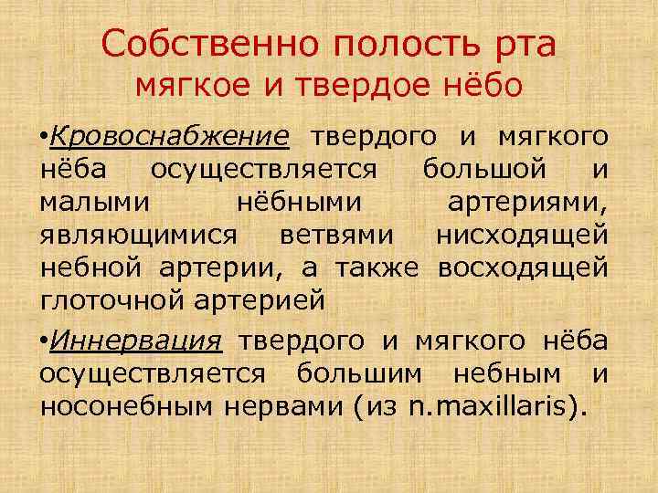 Собственно полость рта мягкое и твердое нёбо • Кровоснабжение твердого и мягкого нёба осуществляется