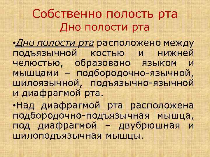 Собственно полость рта Дно полости рта • Дно полости рта расположено между подъязычной костью