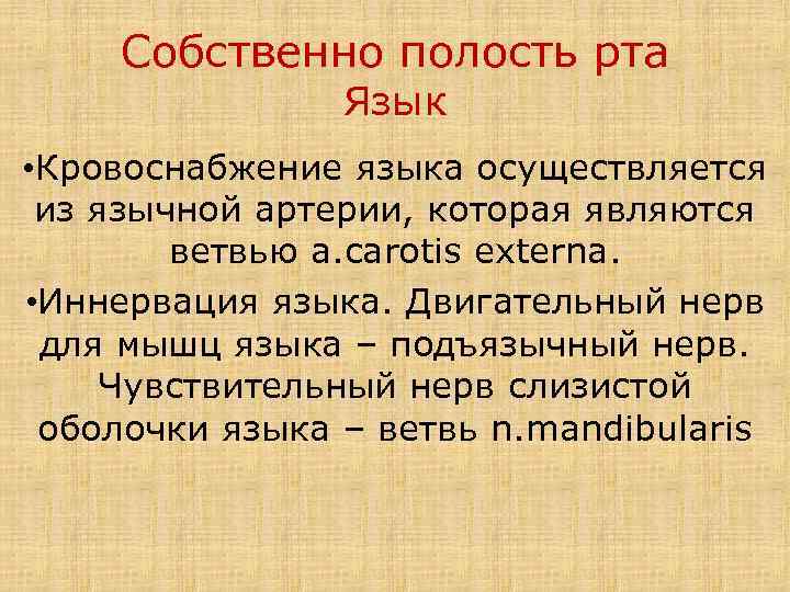 Собственно полость рта Язык • Кровоснабжение языка осуществляется из язычной артерии, которая являются ветвью