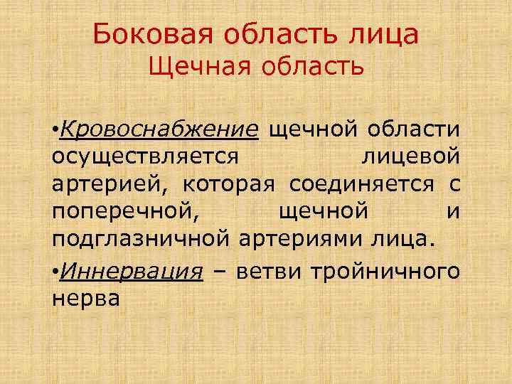 Боковая область лица Щечная область • Кровоснабжение щечной области осуществляется лицевой артерией, которая соединяется