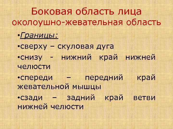 Боковая область лица околоушно-жевательная область • Границы: • сверху – скуловая дуга • снизу