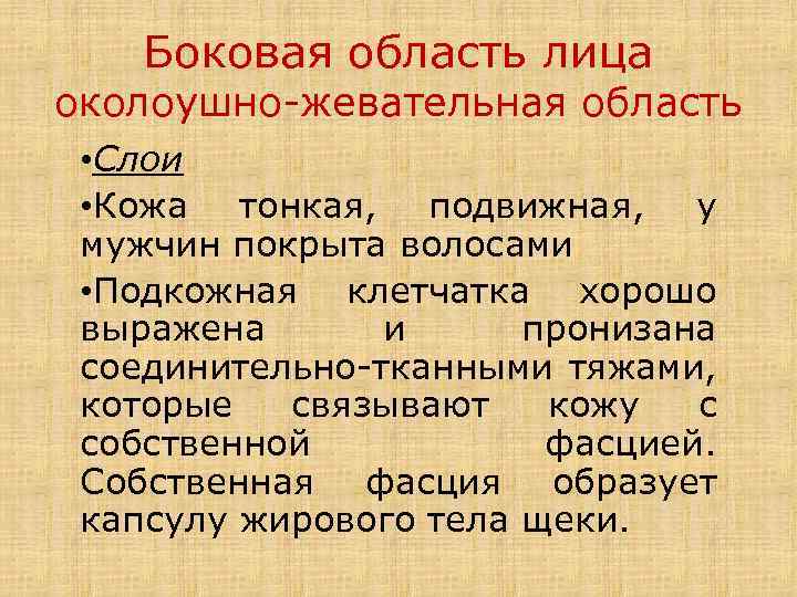 Боковая область лица околоушно-жевательная область • Слои • Кожа тонкая, подвижная, у мужчин покрыта