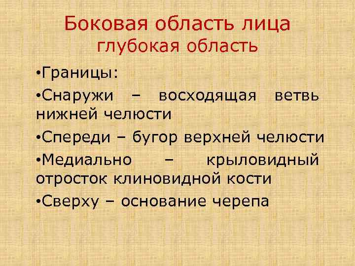 Боковая область лица глубокая область • Границы: • Снаружи – восходящая ветвь нижней челюсти