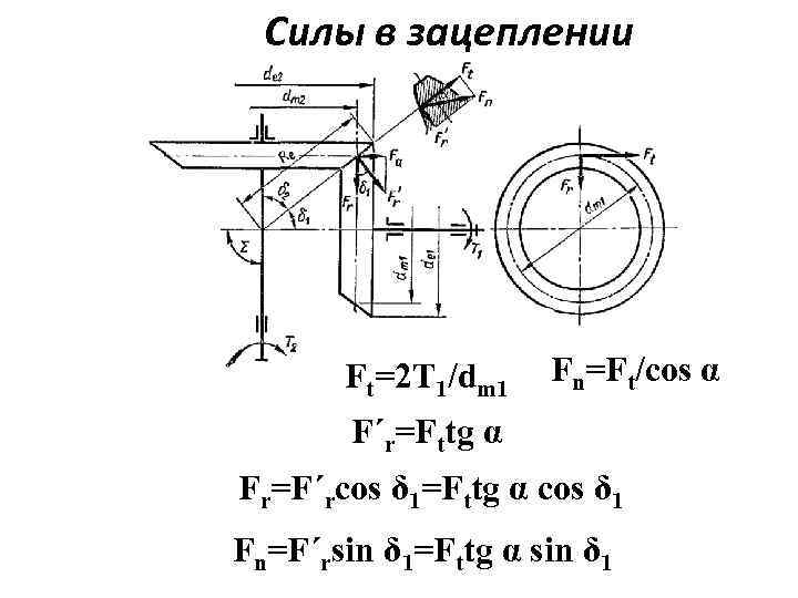 Силы в зацеплении Ft=2 T 1/dm 1 Fn=Ft/cos α F΄r=Fttg α Fr=F΄rcos δ 1=Fttg