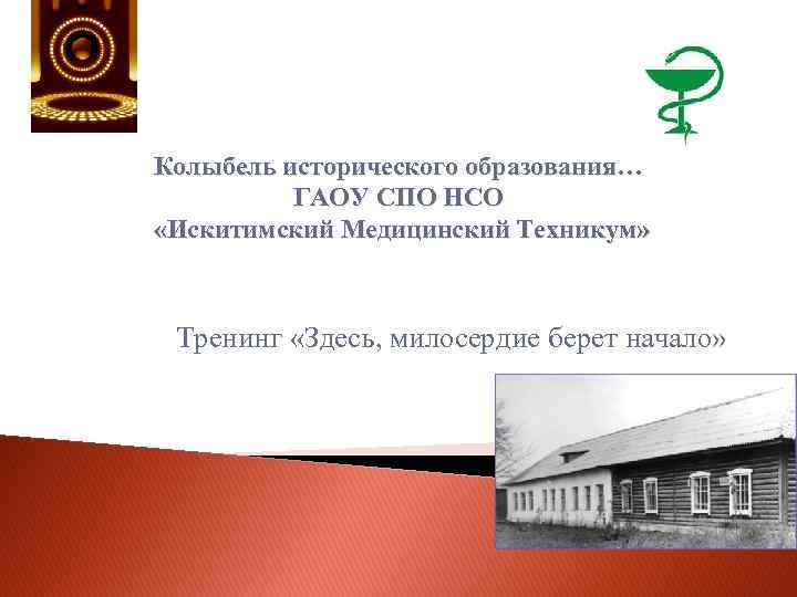 Государственное автономное образовательное учреждение высшего образования. Искитимский медицинский колледж филиал. Искитимский филиал ГАПОУ НСО Новосибирский медицинский колледж. Искитимский мед колледж официальный сайт. Искитимский медицинский техникум официальный сайт.