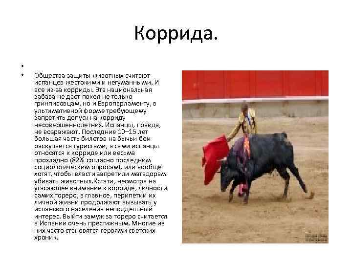 Коррида. • • Общества защиты животных считают испанцев жестокими и негуманными. И все из-за