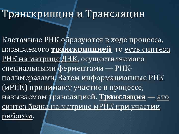 Транскрипция и трансляция. Ферменты транскрипции и трансляции. Ферменты транскрипции и трансляции таблица. В ходе процесса транскрипции образуются РНК.