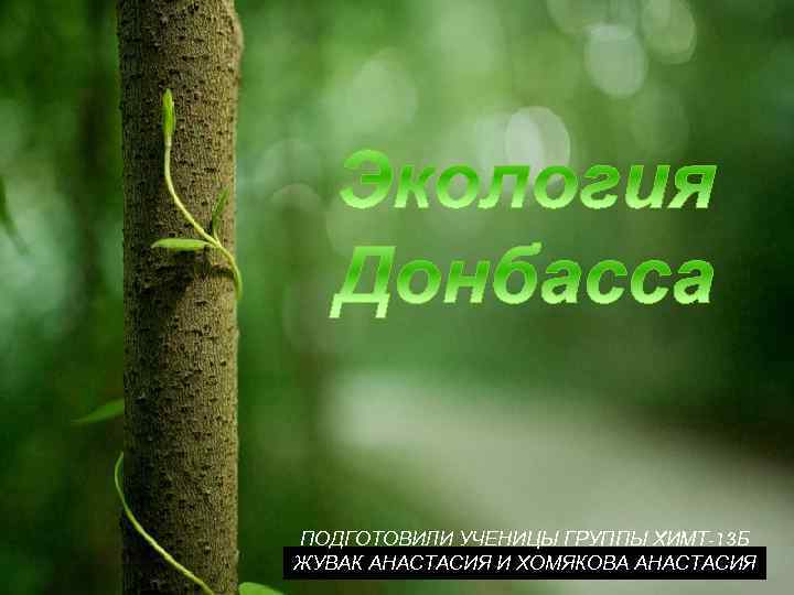 ПОДГОТОВИЛИ УЧЕНИЦЫ ГРУППЫ ХИМТ-13 Б ЖУВАК АНАСТАСИЯ И ХОМЯКОВА АНАСТАСИЯ 