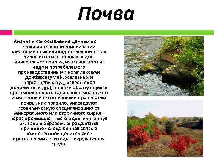 Почва Анализ и сопоставление данных по геохимической специализации установленных природно - техногенных типов почв