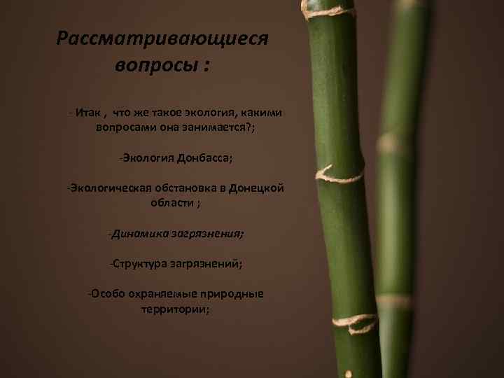Рассматривающиеся вопросы : - Итак , что же такое экология, какими вопросами она занимается?
