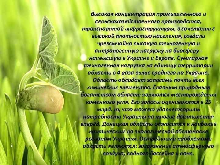 Высокая концентрация промышленного и сельскохозяйственного производства, транспортной инфраструктуры, в сочетании с высокой плотностью населения,