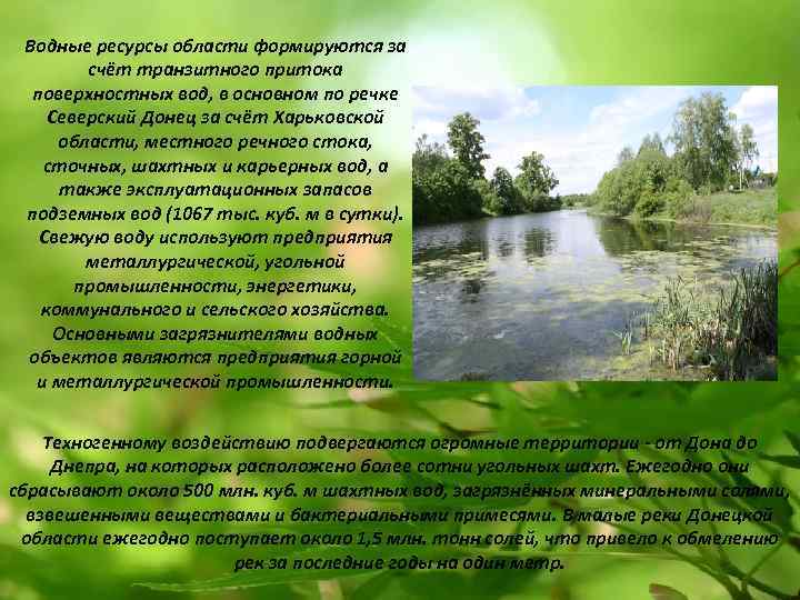 Водные ресурсы области формируются за счёт транзитного притока поверхностных вод, в основном по речке