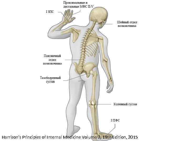 Harrison's Principles of Internal Medicine Volume 2, 19 th Edition, 2015 