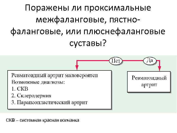 Поражены ли проксимальные межфаланговые, пястнофаланговые, или плюснефаланговые суставы? СКВ – системная красная волчанка 