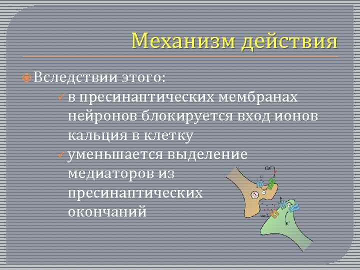 Механизм действия Вследствии этого: ü в пресинаптических мембранах нейронов блокируется вход ионов кальция в